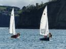 Dinghies racing in Te Haruhi Bay